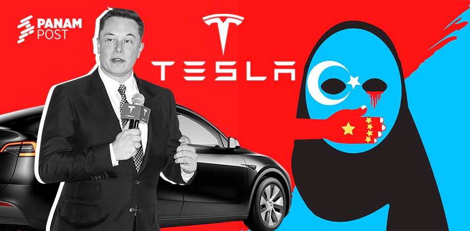 Elon Musk lleva Tesla a Xinjiang, pese al genocidio contra los uigures