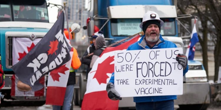 "El 50 % de nosotros fuimos forzados a tomar la vacuna experimental", reclama un camionero en la frontera EE.UU.-Canadá. (EFE)