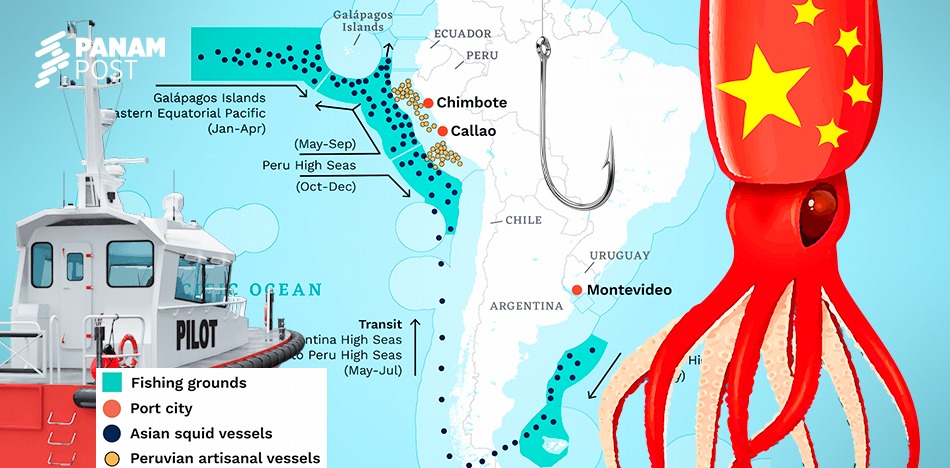 Barcos chinos lideran pesca ilegal de calamar en el Pacífico Sur