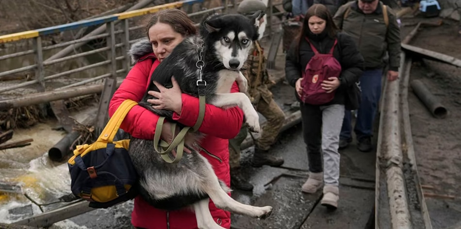 Las mascotas, las otras víctimas de la guerra en Ucrania