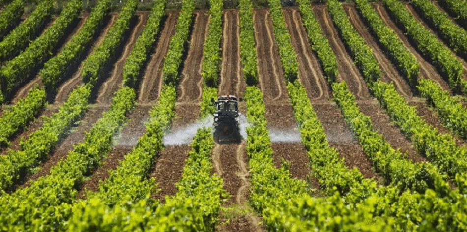 producción de alimentos por objetivos climáticos