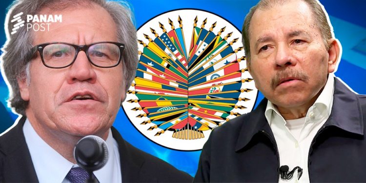El interés electoral de Daniel Ortega detrás del ilegal atropello contra la OEA