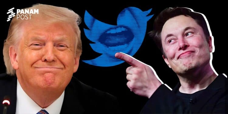 Simpatizantes de Trump, entre ellos legisladores republicanos, aclaman su retorno a Twitter por medio de Elon Musk. (PanAm Post)