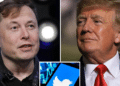 Elon Musk dispuesto a revertir el veto a Donald Trump en Twitter