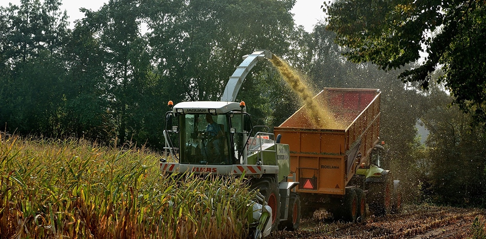 Venezuela triplica importación de maíz estadounidense