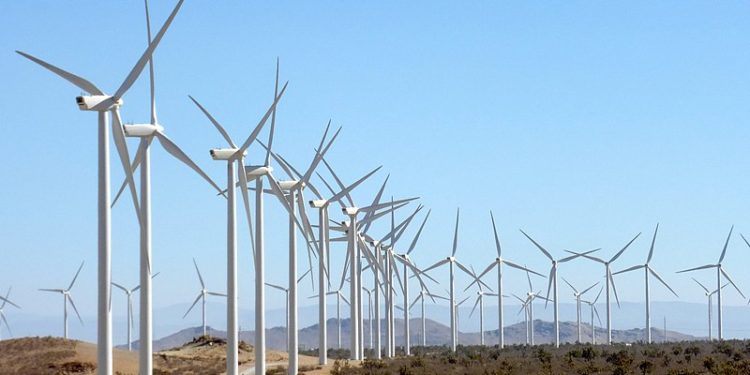 Nuevas turbinas eólicas: energía renovable y... ¿comestible?