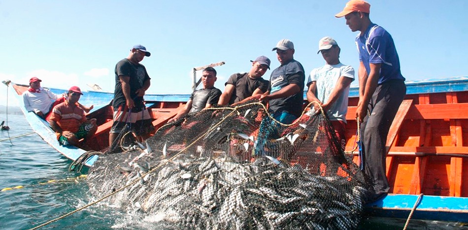 Venezuela sube 31 % compra de pescados a EEUU y se desinfla exportación