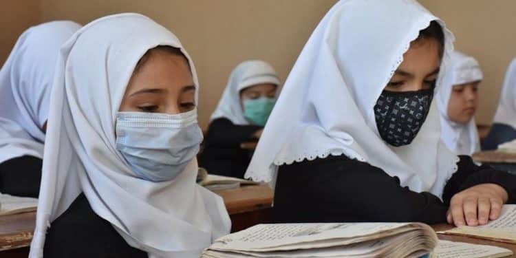 El envenenamiento y uso de químicos: armas contra la educación femenina en Afganistán