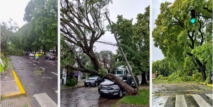 Tormenta azota Argentina y deja 13 muertos: Milei y ministros van a zonas afectadas