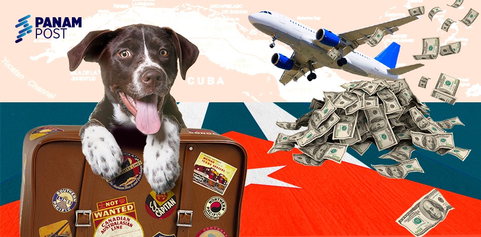 Migración de mascotas cubanas