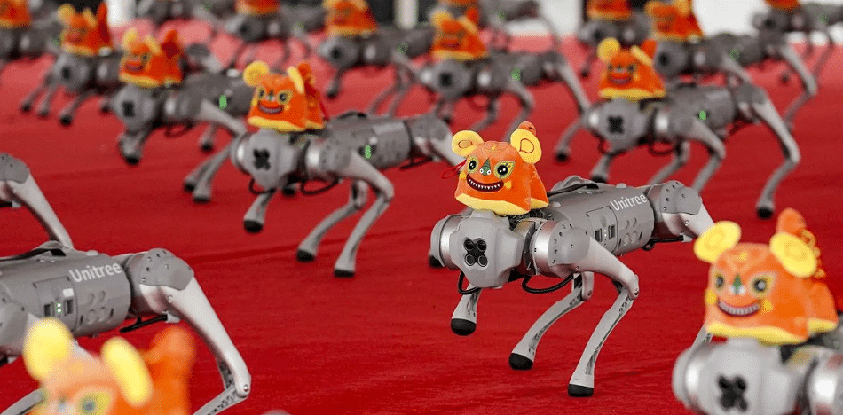 perros robots de China
