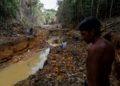 El Amazonas, otra víctima del coronavirus